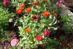 Garten 003
