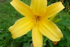 Garten 009