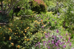 Garten 012