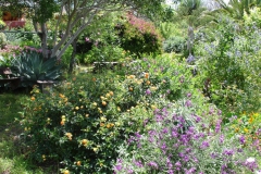 Garten 013