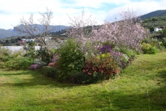 Garten 018