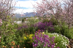 Garten 019