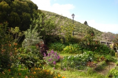 Garten 020