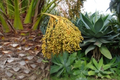 Garten 024