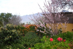 Garten 025