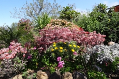 Garten 029