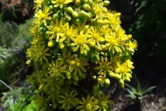 Garten 030