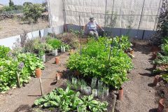 Garten-2